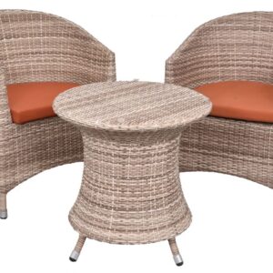Pair of Chair and Table