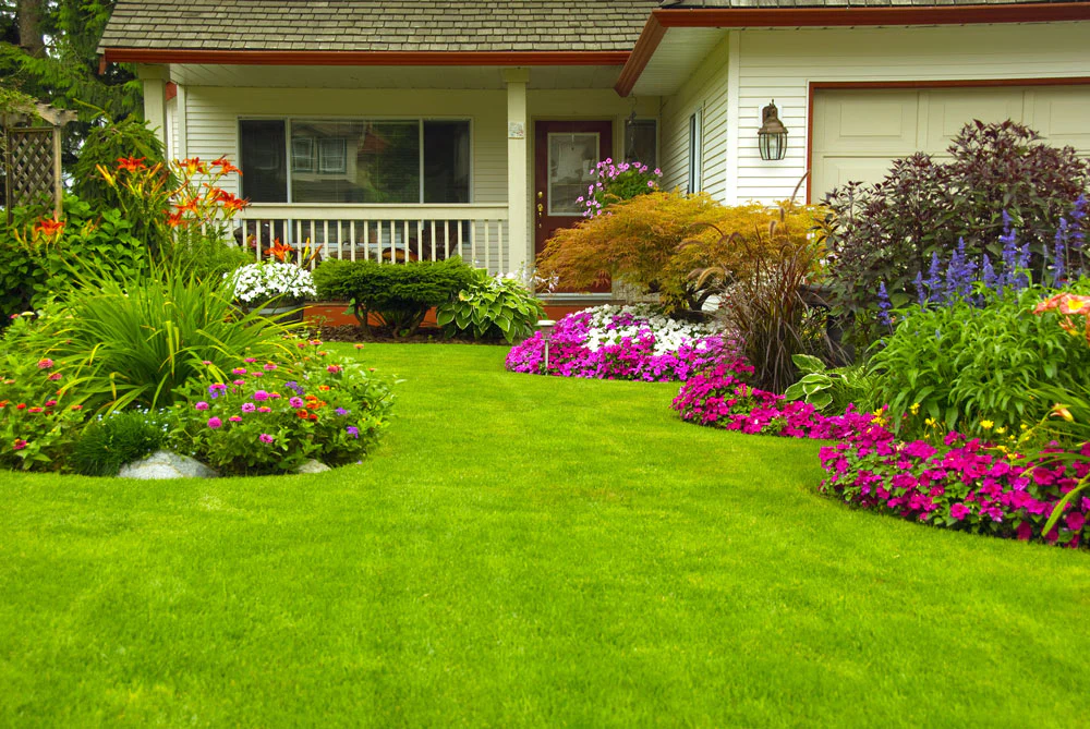 Artificial_Grass_Landscape_Design_Go_From_Boring_to_jaw_dropping